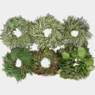 Specialty Greens Wreath 16 Inch