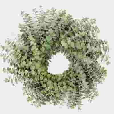 Specialty Greens Wreath 16 Inch