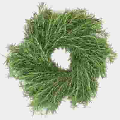 Specialty Greens Wreath 16 Inch