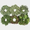 Wreaths - Specialty