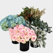 Pantone Rose Quartz & Serenity Flower Pack