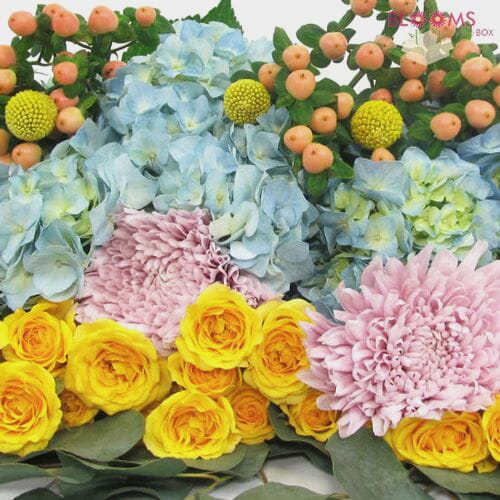 Wholesale flowers prices - buy Sorbet Wedding Flower Pack in bulk