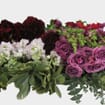 Lavish Wedding Flower Pack