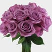 Rose Deep Purple 50cm