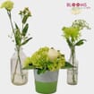 Pantone Greenery Flower Pack