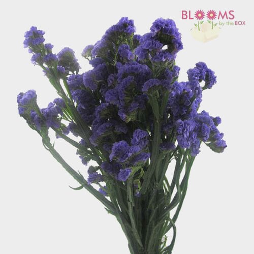 Wholesale flowers prices - buy Purple Filler Flowers Bulk Pack in bulk