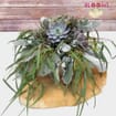 Elegant Succulents & Silver DIY Flower Pack