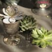 Elegant Succulents & Silver DIY Flower Pack