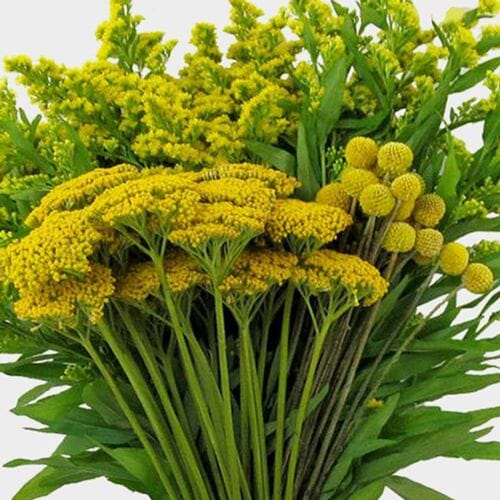 Wholesale flowers prices - buy Yellow Filler Flowers Bulk Pack in bulk