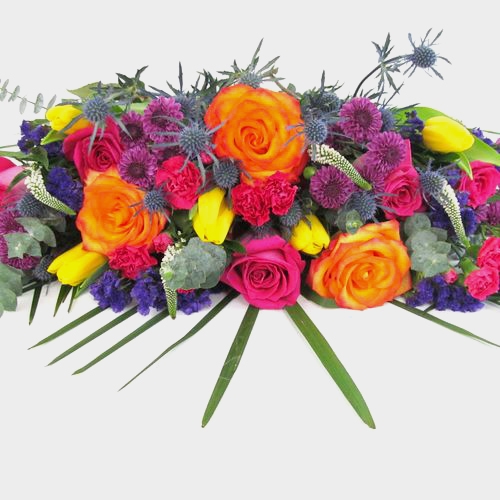 Oasis Desert Flower Pack