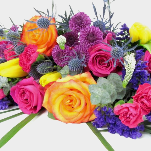 Oasis Desert Flower Pack