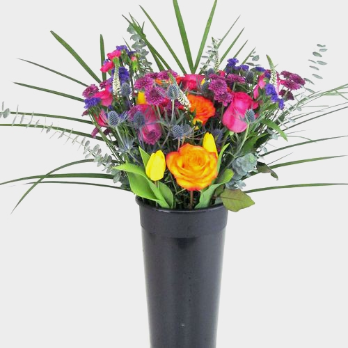 Oasis Desert Flower Pack