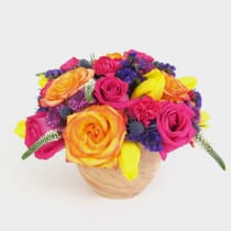 Oasis Desert Flower Pack - Wholesale - Blooms By The Box