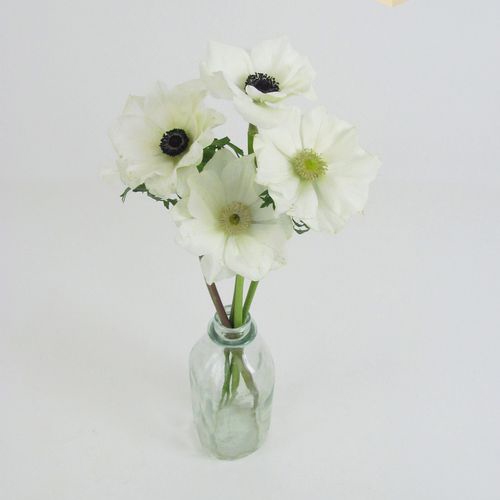 Assorted Anemones 15 Bunch X 10 Stem Box (150 Stems)