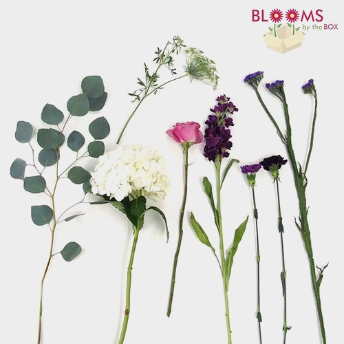 Pantone Ultra Violet Flower Pack