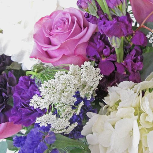 Wholesale flowers prices - buy Pantone Ultra Violet Flower Pack in bulk