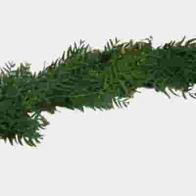 Garland Single Green - 12 Feet