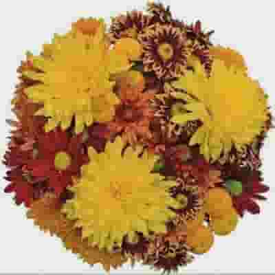Mixed Bouquet 12 Stem - Harvest Time