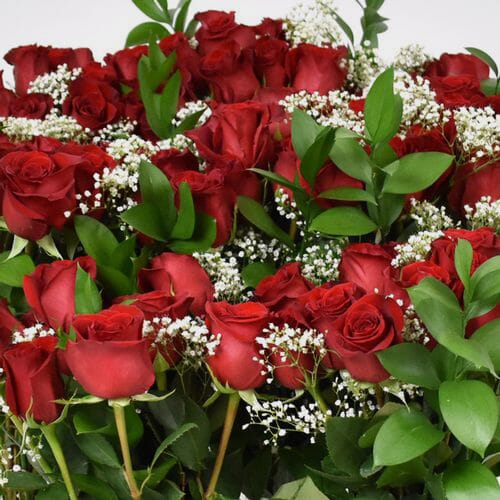 Wholesale flowers prices - buy Rose Bouquet 12 Stem - Red Freedom 50 cm in bulk