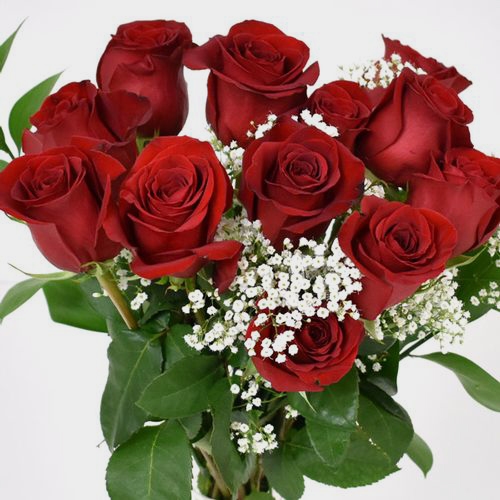 Rose Bouquet 12 Stem - Red Freedom 50 cm - Wholesale - Blooms By The Box