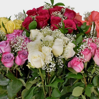 Rose Bouquet 12 Stem - Assorted Colors 50cm - Wholesale - Blooms By The Box