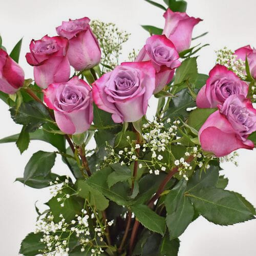 Rose Bouquet 12 Stem Assorted Colors 50cm Wholesale Blooms By The Box