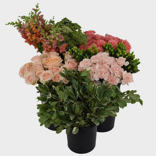 Pantone Living Coral Flower Pack