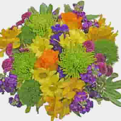 Mixed Bouquet 23 Stem - Green Meadow