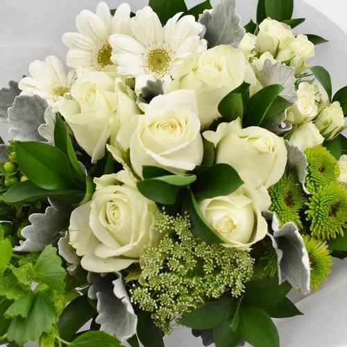 Premium Gift Bouquet - White Light - Wholesale - Blooms By The Box