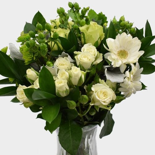 Bulk flowers online - Premium Gift Bouquet - Green Treat