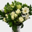 Premium Gift Bouquet - Green Treat