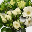 Premium Gift Bouquet - Green Treat