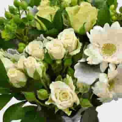 Premium Gift Bouquet - Green Treat