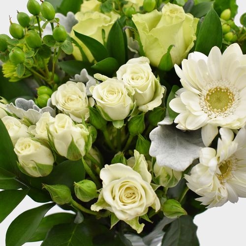 Premium Gift Bouquet - Green Treat - Wholesale - Blooms By The Box