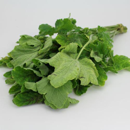 Assorted Herbs Bulk Wholesale Blooms By The Box