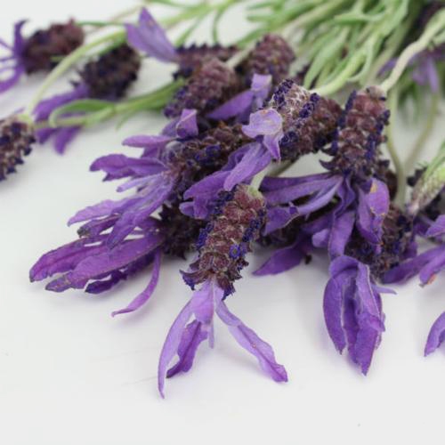 Assorted Herbs Bulk