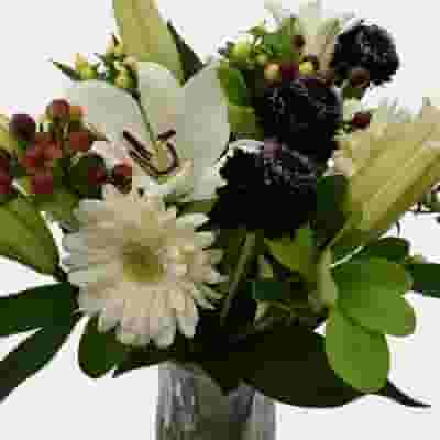 Premium Gift Bouquet White & Burgundy Eye Candy