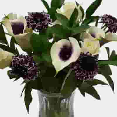 Premium Gift Bouquet - Lavender & White Velvet 