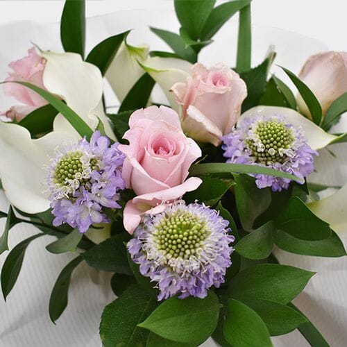 Bulk flowers online - Premium Gift Bouquet - Pink & White Velvet