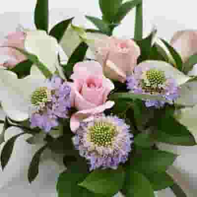 Premium Gift Bouquet - Pink & White Velvet 