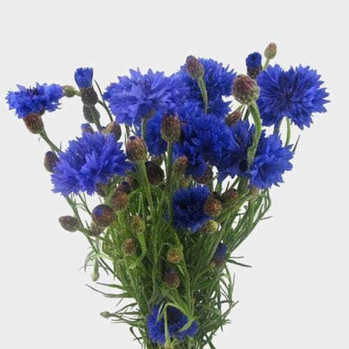 Artificial Silk Flowers Mini Rose Craft Flowers - Dark Blue