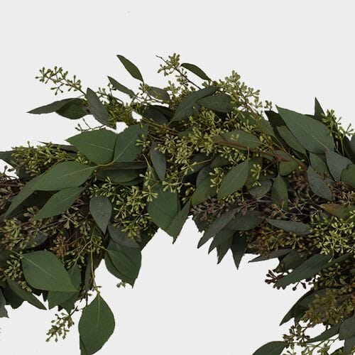 Bulk flowers online - Garland Seeded Eucalyptus 8 Feet