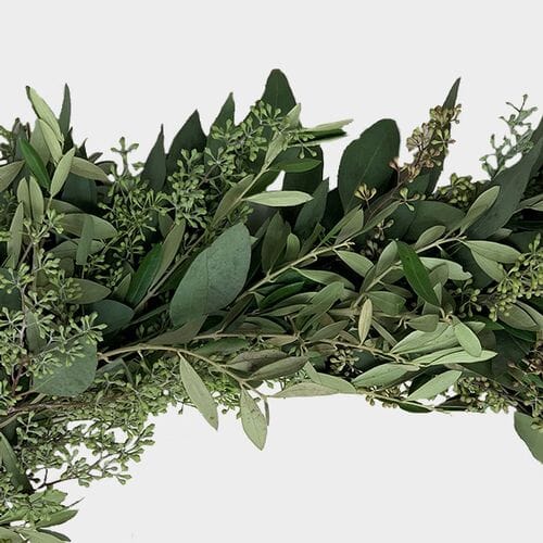 Wholesale flowers prices - buy Garland Seeded Eucalyptus & Olive - 8 Feet in bulk