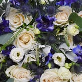 Pantone Classic Blue Flower Pack