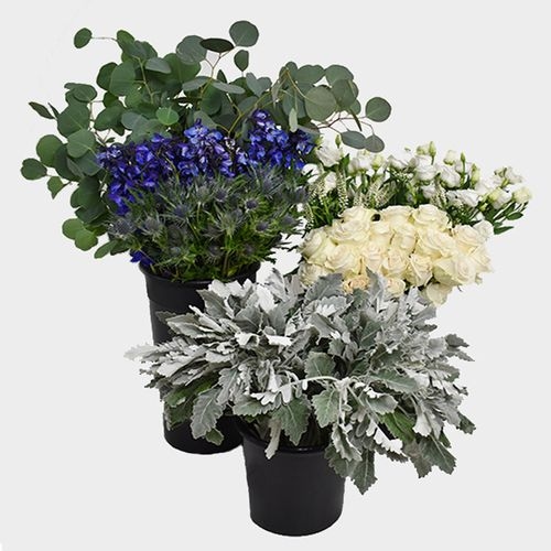 Pantone Classic Blue Flower Pack