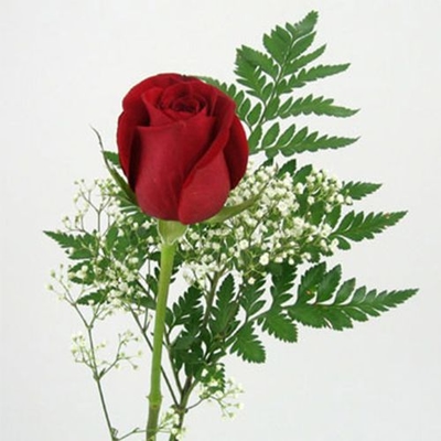 single red rose with stem