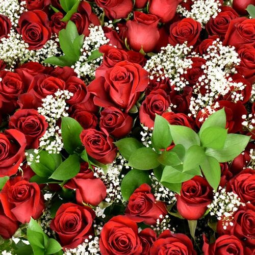 Rose Bouquet 6 Stem - Red Freedom 50cm - Wholesale - Blooms By The Box
