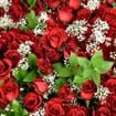 Rose Bouquet 6 Stem - Red Freedom 50cm