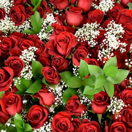 Rose Bouquet 6 Stem - Red Freedom 50cm