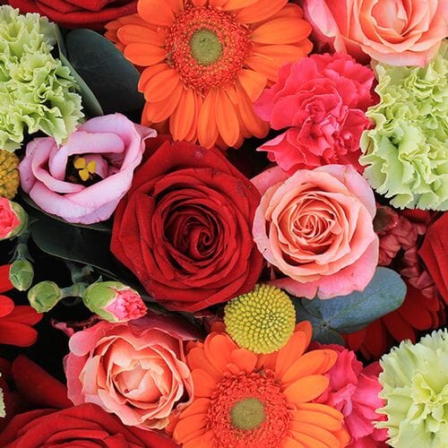 Bulk flowers online - Wholesalers Choice By Color (Medium)